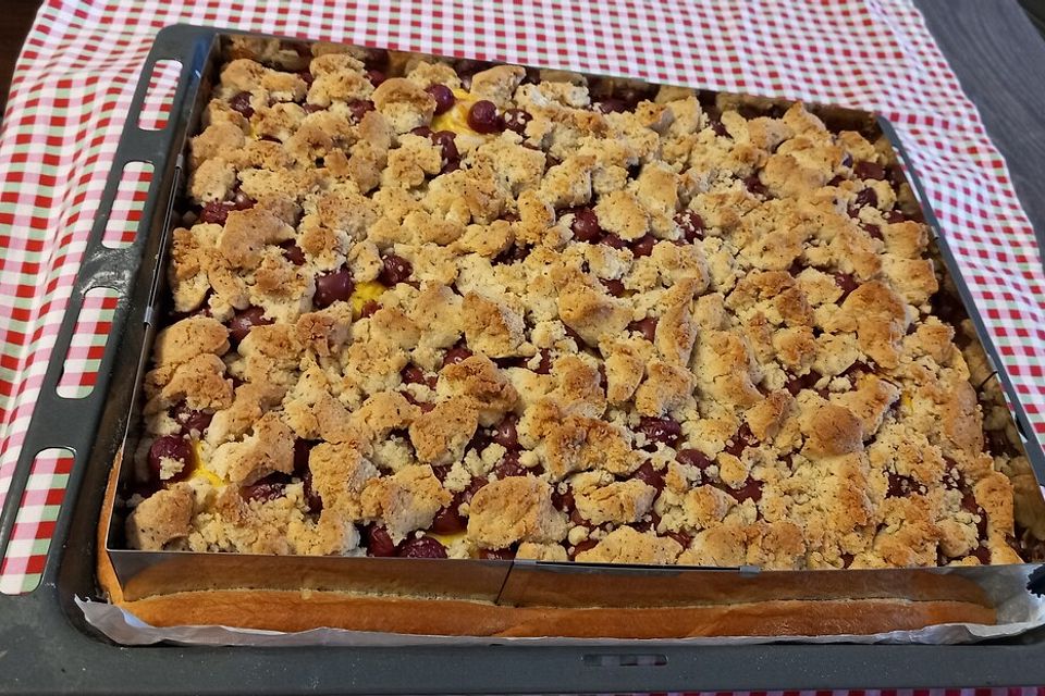 Pflaumenkuchen mit Pudding und Streusel