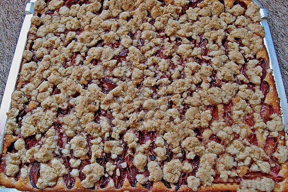 Pflaumenkuchen mit Pudding und Streusel