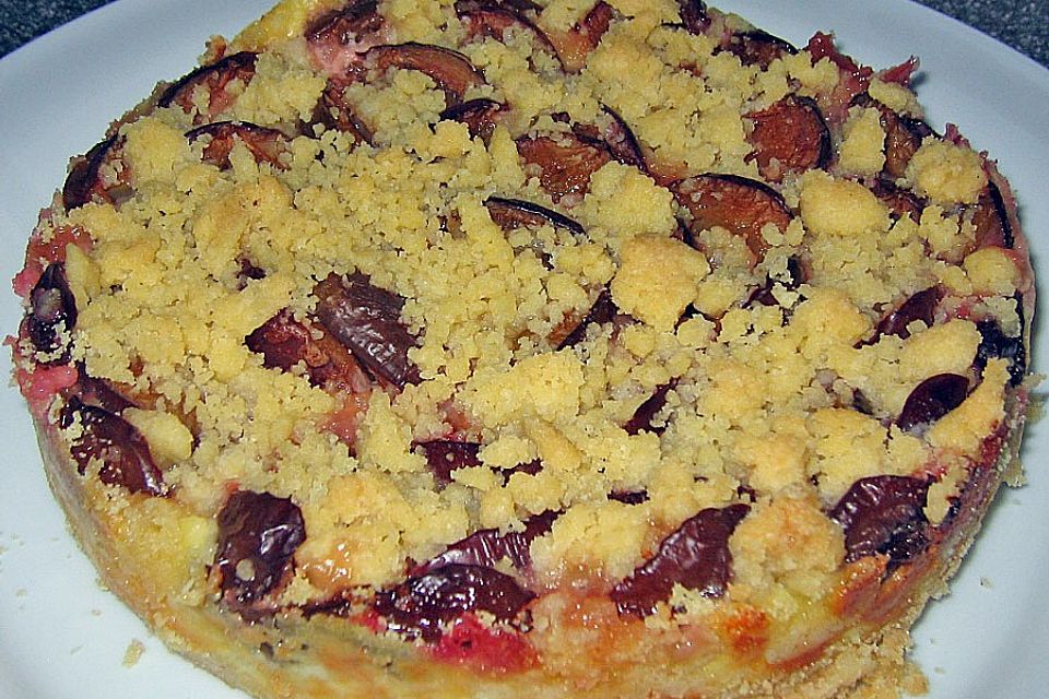 Pflaumenkuchen mit Pudding und Streusel