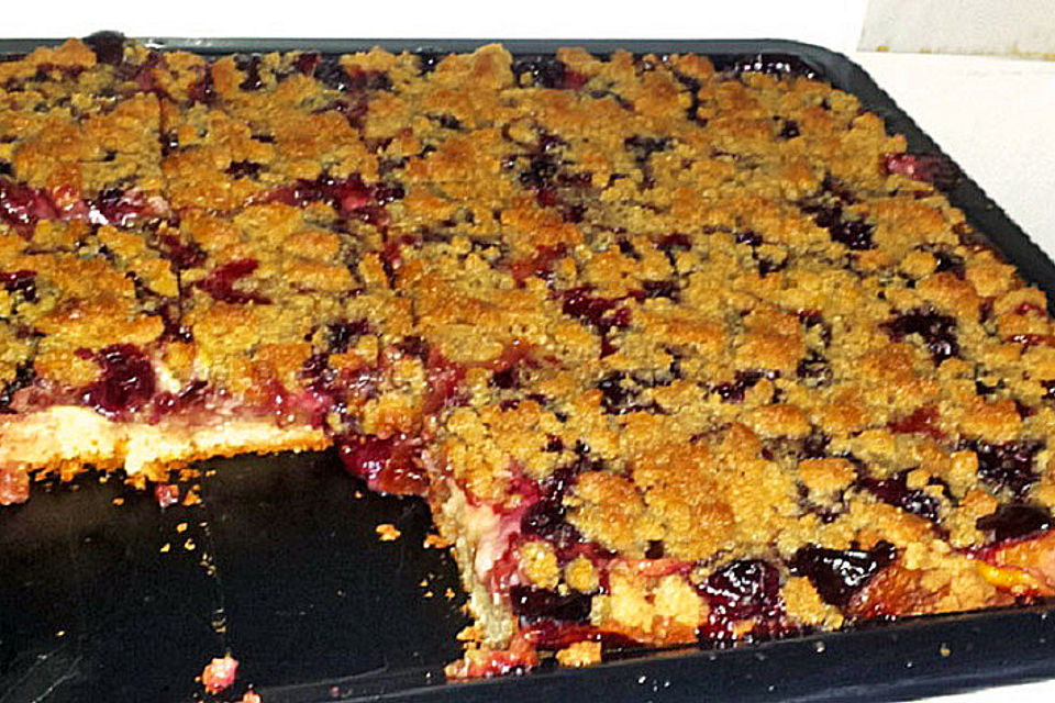 Pflaumenkuchen mit Pudding und Streusel