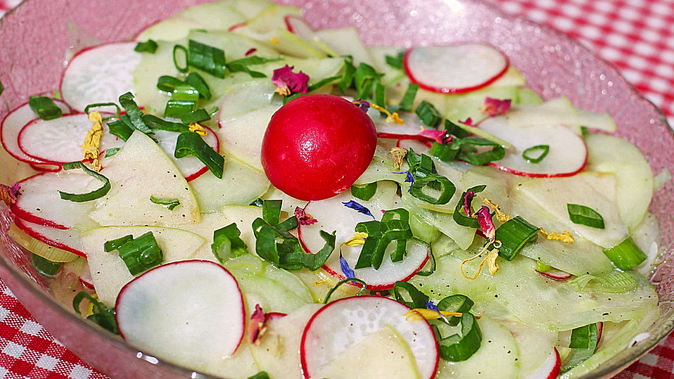 Gurkensalat mit Radieschen und Apfel von ManuGro