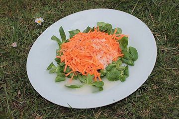 Karottensalat mit Meerrettich und Feldsalat