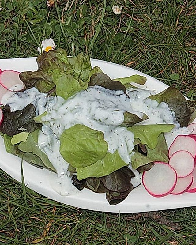 Eichblattsalat mit Radieschen