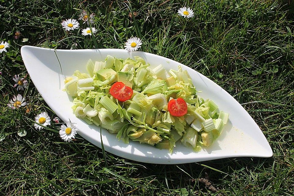 Avocado-Stangensellerie-Salat