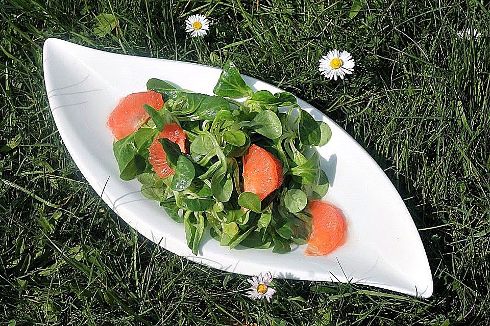 Feldsalat mit Grapefruit in Zitronendressing