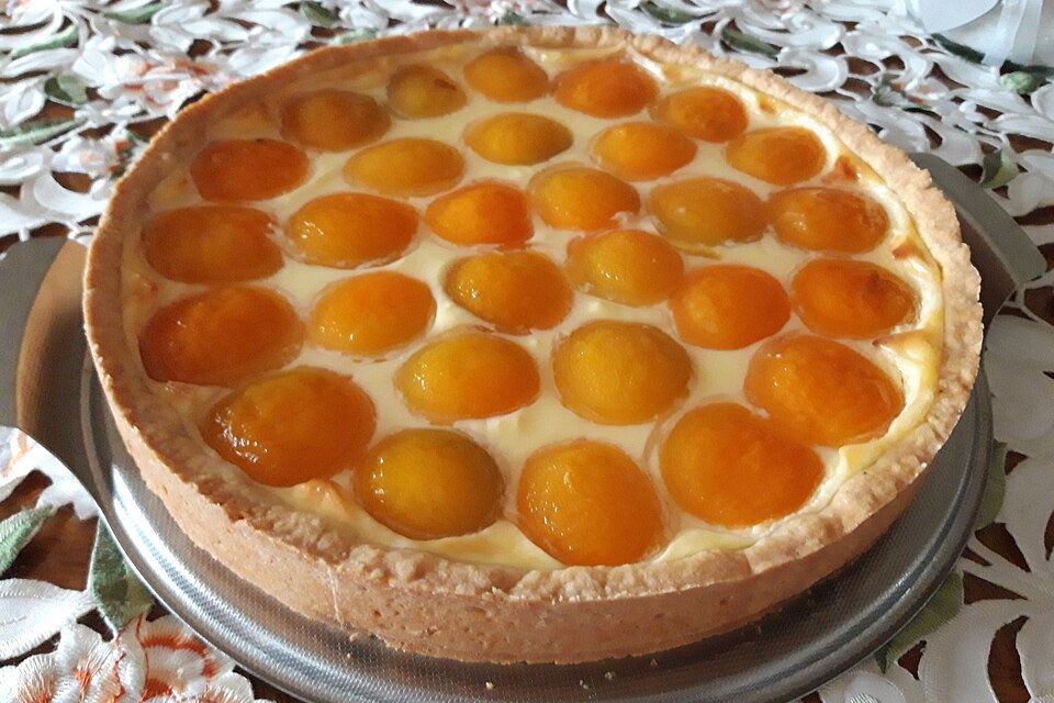 Schmand-Vanillepudding-Aprikosen Torte