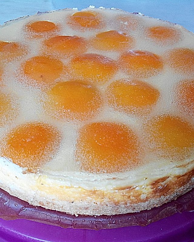 Schmand-Vanillepudding-Aprikosen Torte