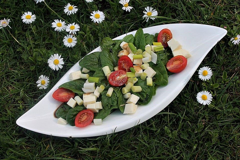 Spinatsalat mit Kirschtomaten und Mozzarella