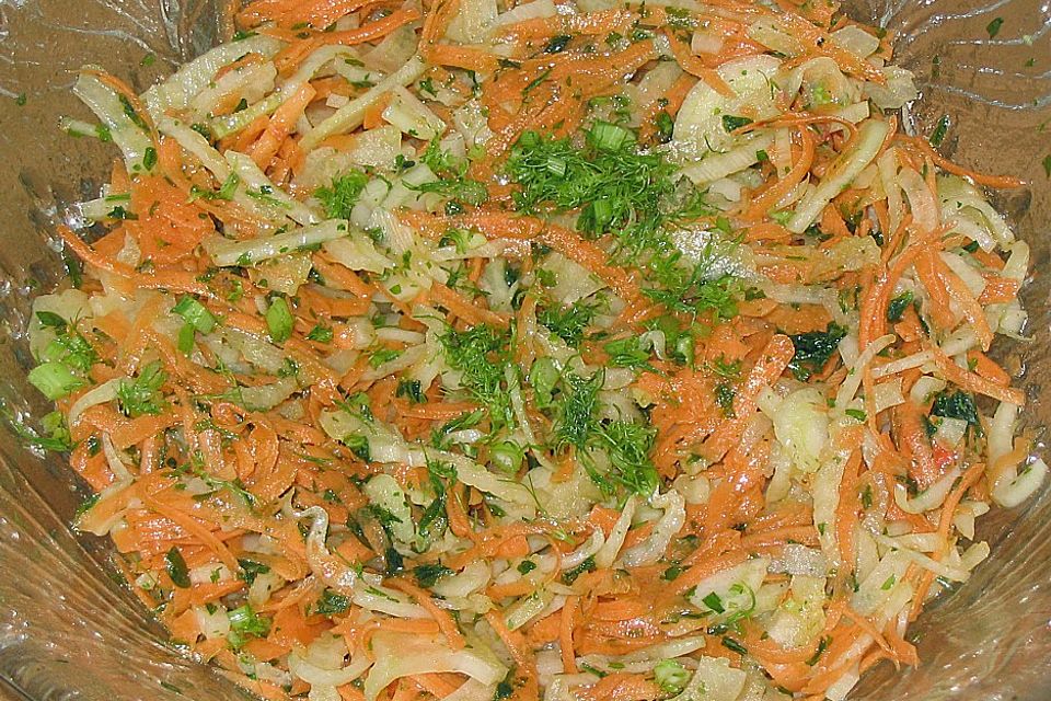 Fenchel - Möhren - Salat