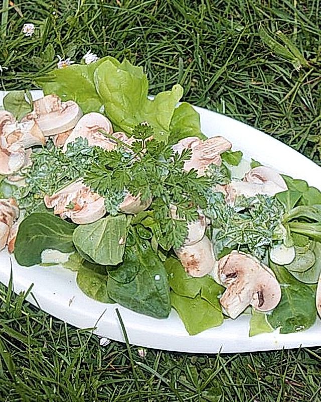 Salat mit Champignons und Kerbelsahnedressing