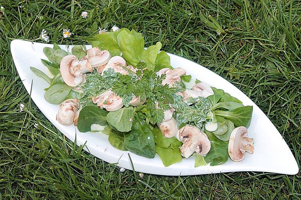 Salat mit Champignons und Kerbelsahnedressing