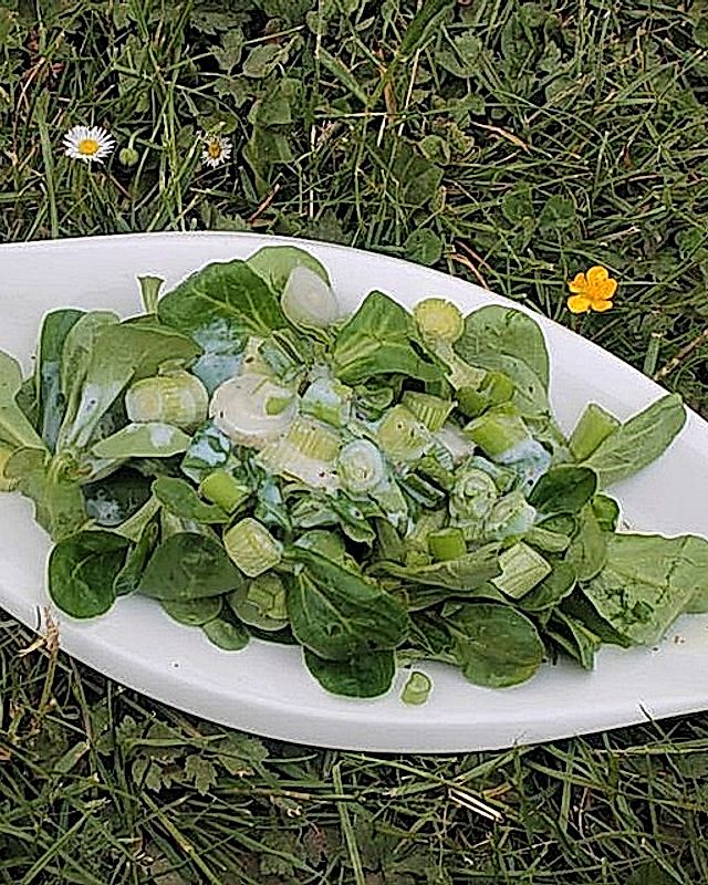 Feldsalat mit Frühlingszwiebeln in Buttermilchdressing