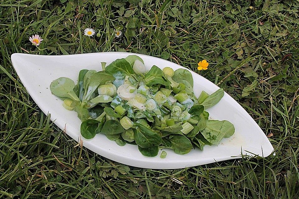 Feldsalat mit Frühlingszwiebeln in Buttermilchdressing