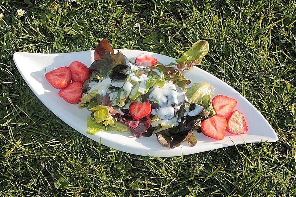 Eichblattsalat mit Erdbeeren in Joghurtdressing