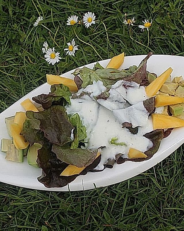 Eichblattsalat mit Avocado und Mango