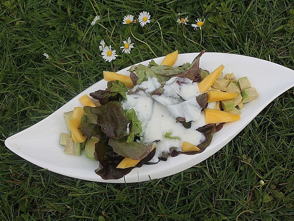 Eichblattsalat mit Avocado und Mango von patty89| Chefkoch