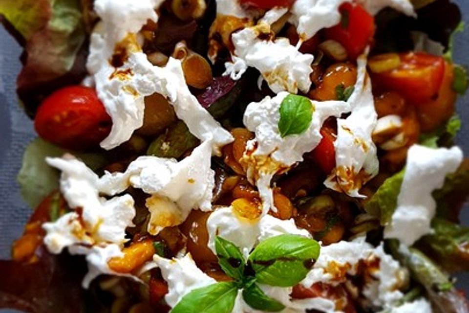 Mango-Tomaten-Salat mit Büffelmozzarella