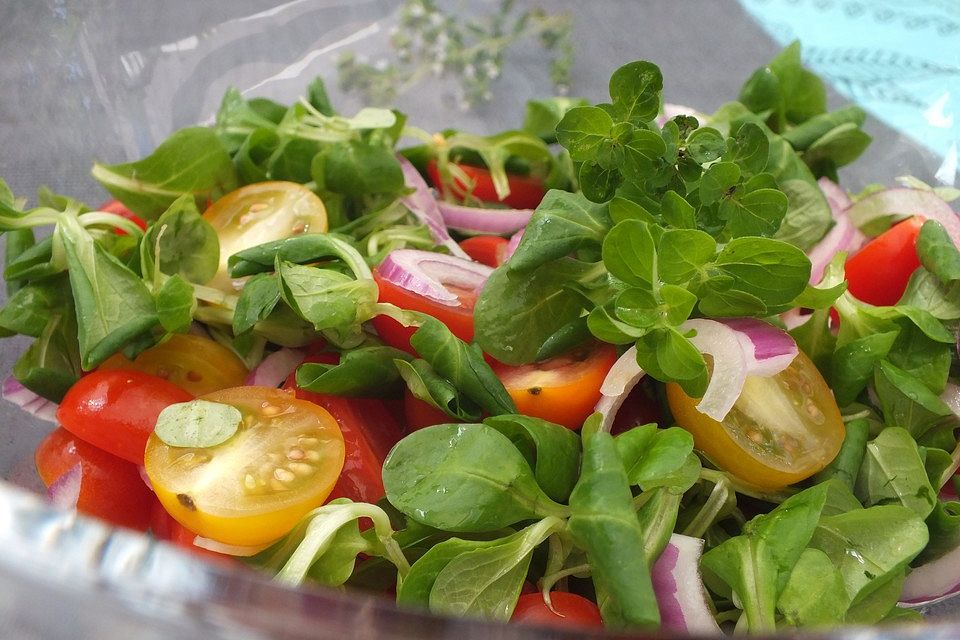 Fruchtiger Tomatensalat mit Zwiebeln