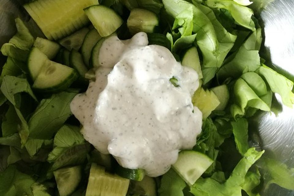 Joghurt-Dressing mit sahnigem Geschmack