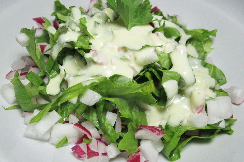 Joghurt-Dressing mit sahnigem Geschmack