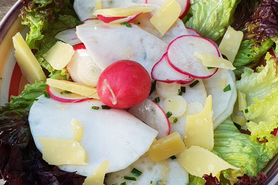 Radieschen-Mairübchen-Salat