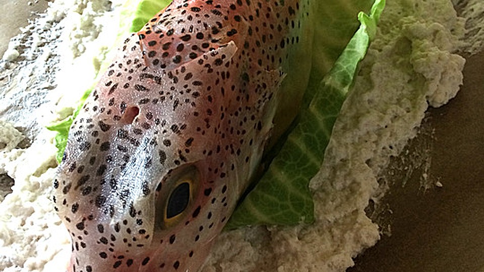 Japanischer Knurrhahn Auf Spinatbett Von Robert 3 Chefkoch 