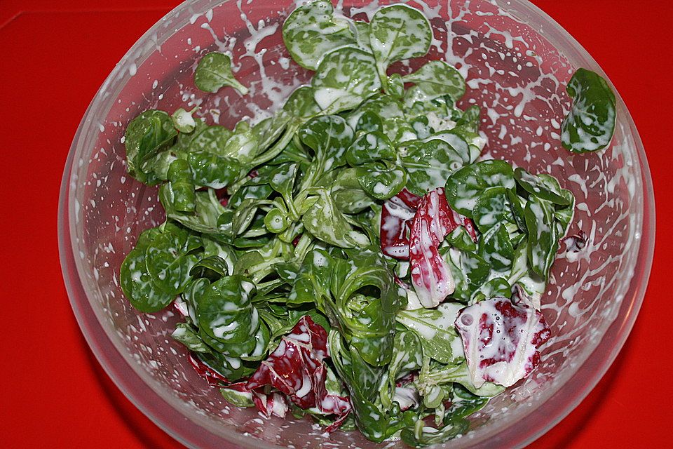 Salat mit selbstgemachtem Sojajoghurt-Dressing