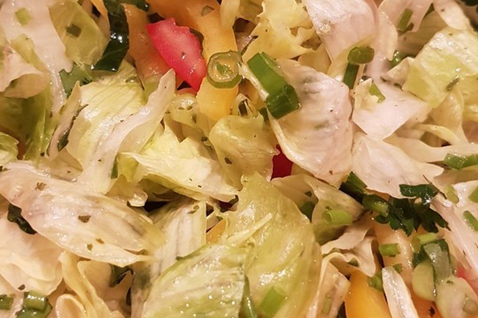 Blattsalat mit Paprika, Gurke, Kürbiskernen in leckerem Senfdressing