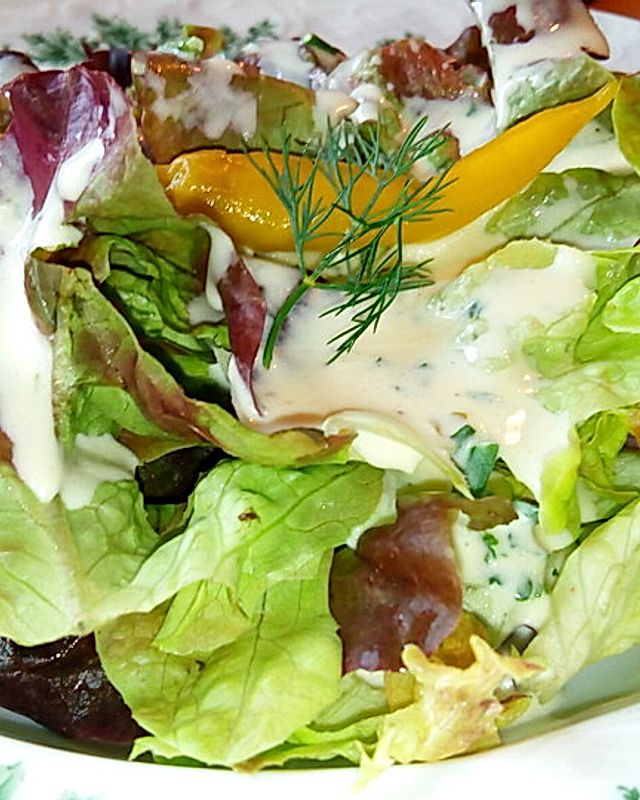 Lollo Rosso mit Salatgurke in Joghurt-Senf-Dressing