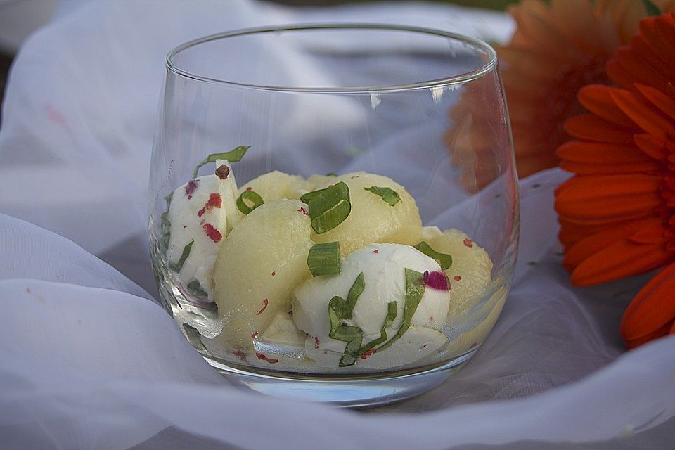 Melonensalat mit Mozzarella und roten Pfefferbeeren