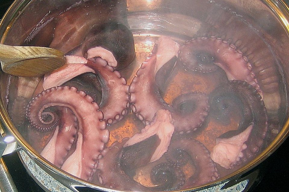 Tintenfisch Pulpo Gajego