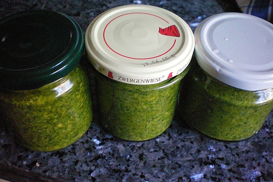 Koriander-Minz-Pesto mit Knoblauch und Mandeln