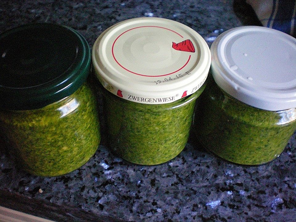 Koriander-Minz-Pesto mit Knoblauch und Mandeln von caipiri| Chefkoch