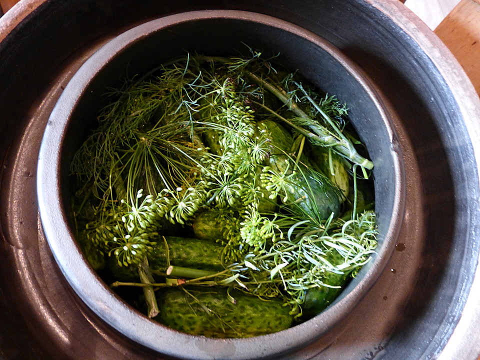 Salzgurken Rezepte | Chefkoch