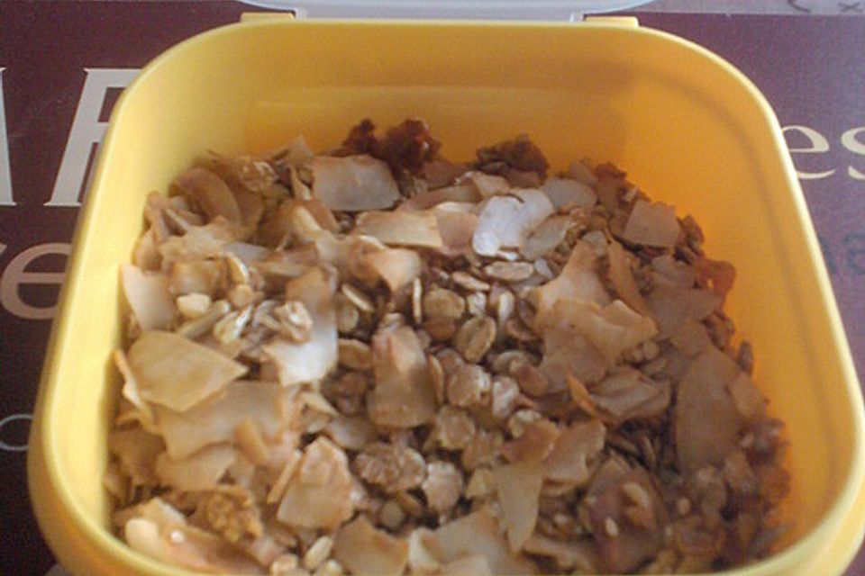 Knuspermüsli-Kokos