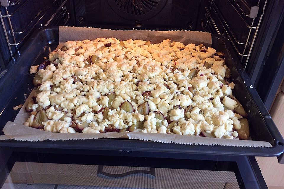 Pflaumenkuchen mit Quark-Öl-Teig