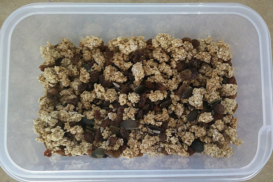 Crunchy-/Knuspermüsli