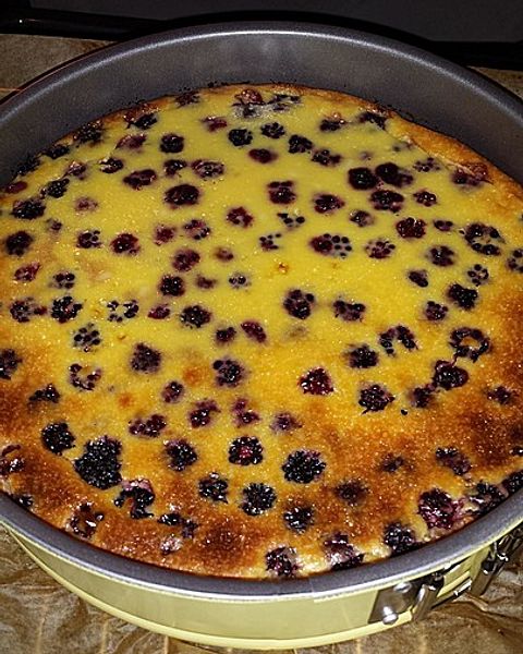 Brombeerkuchen Rezepte | Chefkoch