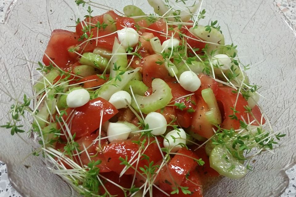 Staudensellerie-Tomaten-Salat