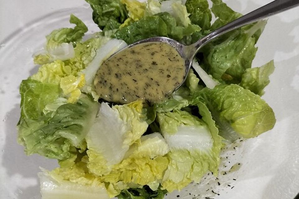 Sehr leckeres Essig-Öl-Dressing Sehr leckeres Essig-Öl-Dressing