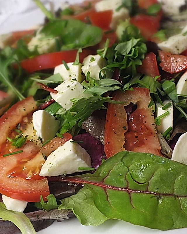 Blattsalat mit Tomate und Mozzarella
