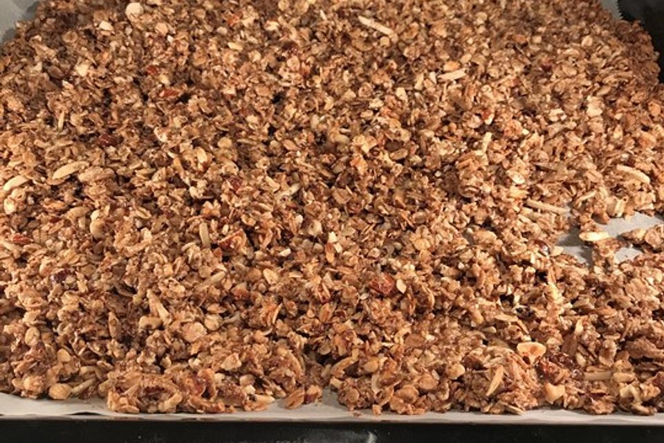 Selbstgemachtes Granola