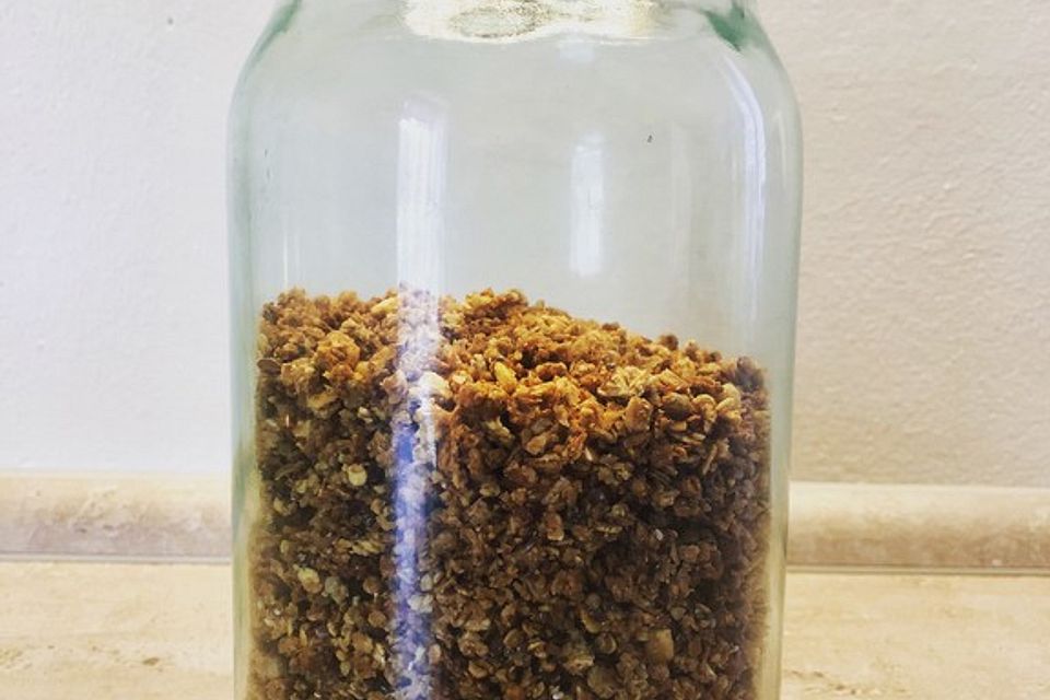 Selbstgemachtes Granola