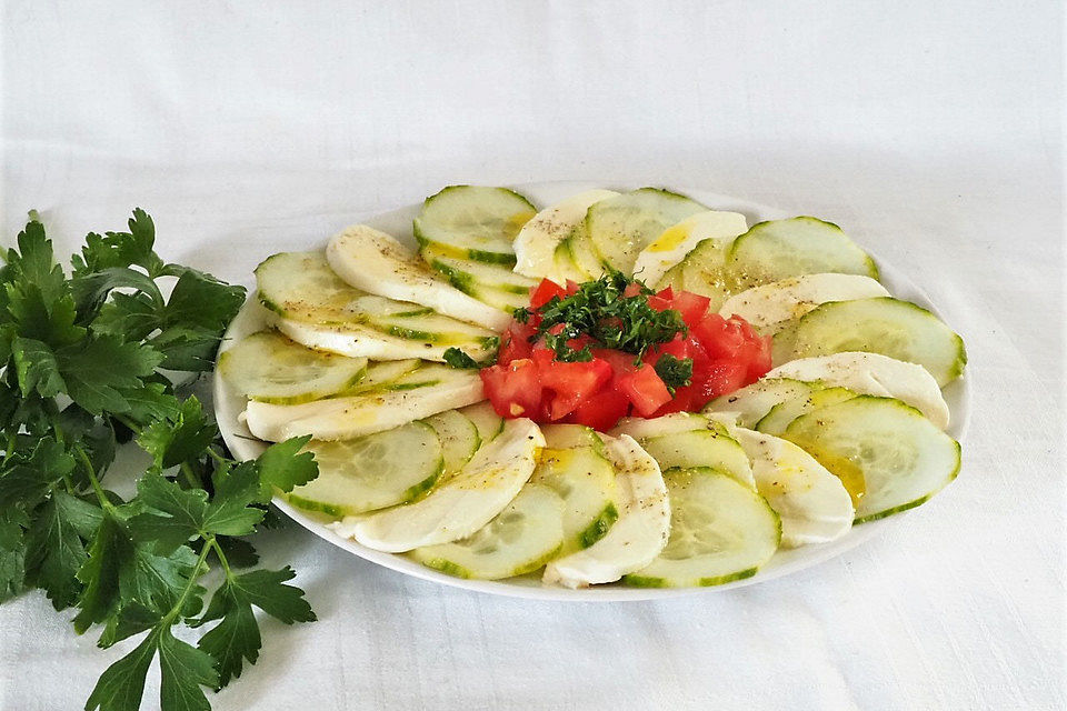 Gurken-Mozzarella-Carpaccio mit Tomaten-Petersilie-Tatar Gurken-Mozzarella-Carpaccio mit Tomaten-Petersilie-Tatar