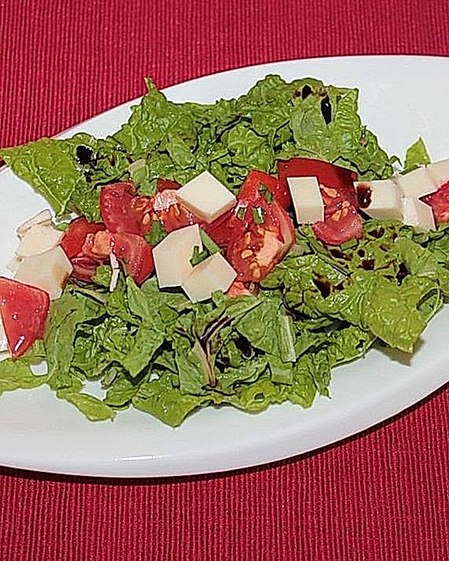 Mangold-Salat mit Tomate-Mozzarella