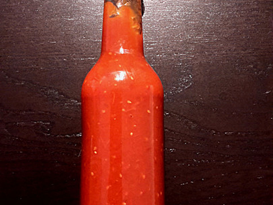 Hausgemachter Ketchup von domi86| Chefkoch Hausgemachter Ketchup von domi86| Chefkoch