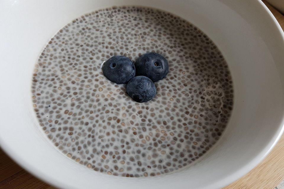 Chia-Pudding mit Heidelbeere