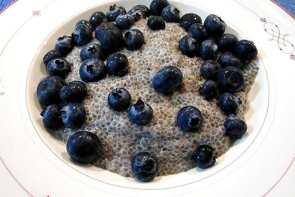 Chia-Pudding mit Heidelbeere