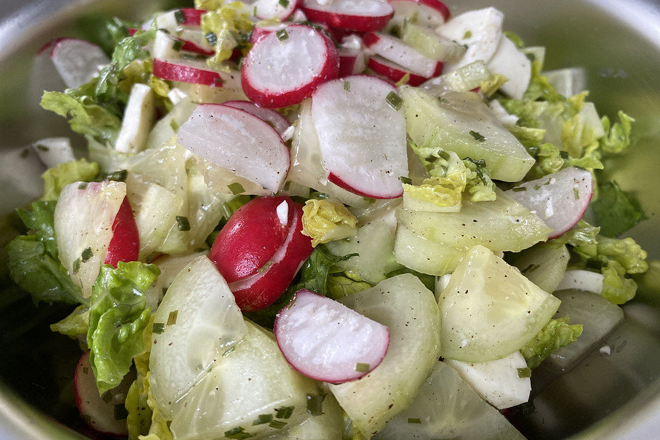 Römersalat mit Gurke und Mozzarella