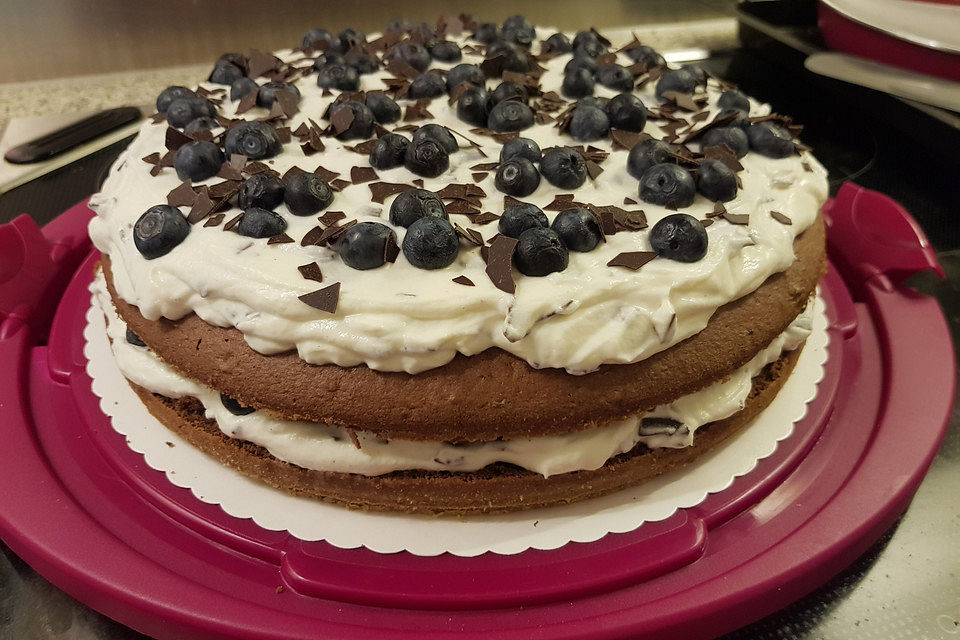 Zweistöckige Heidelbeer-Skyr-Torte